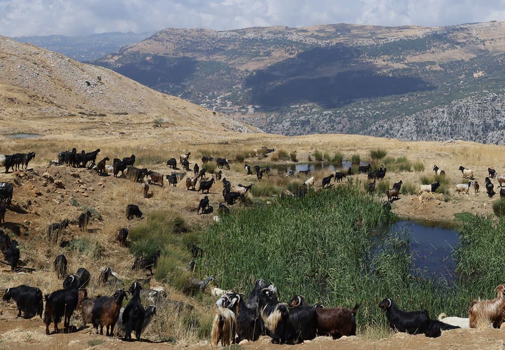 Ecovalley mountains